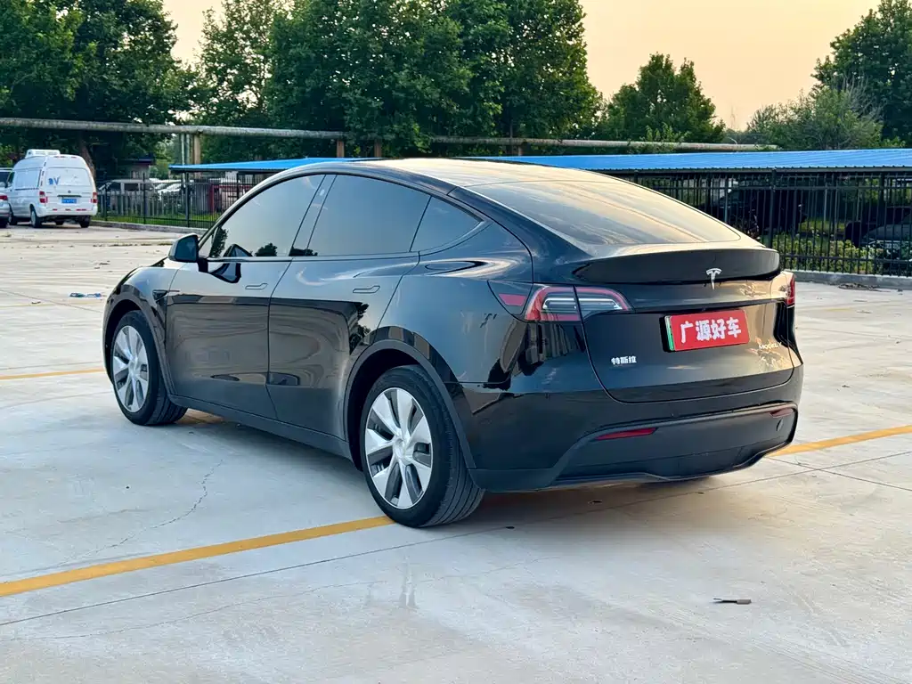 Tesla Model Y — миниатюра 8