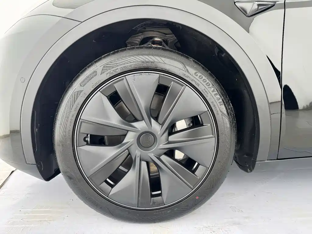 Tesla Model Y — миниатюра 6