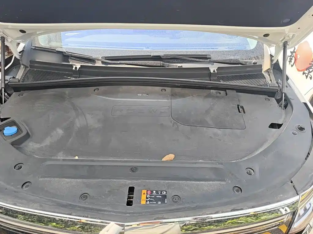 Roewe iMAX8 New Energy — миниатюра 21