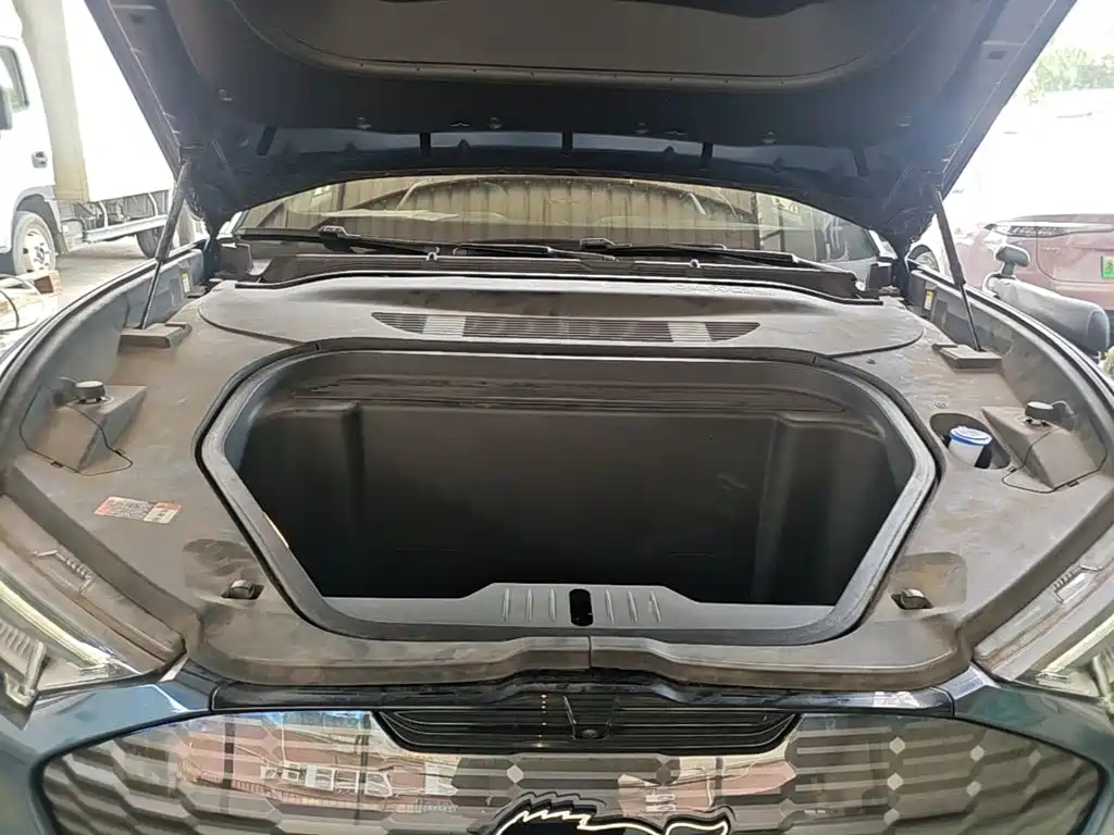 Ford Mustang Mach-E — миниатюра 20