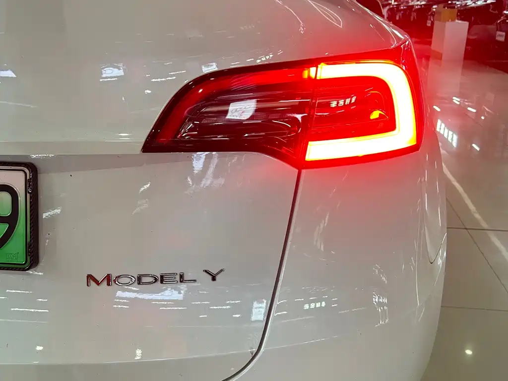 Tesla Model Y — миниатюра 16