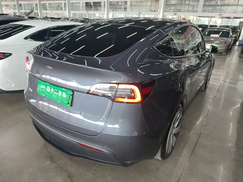 Tesla Model Y — миниатюра 7