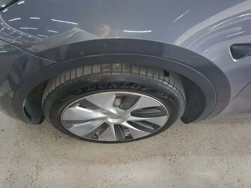 Tesla Model Y — миниатюра 23