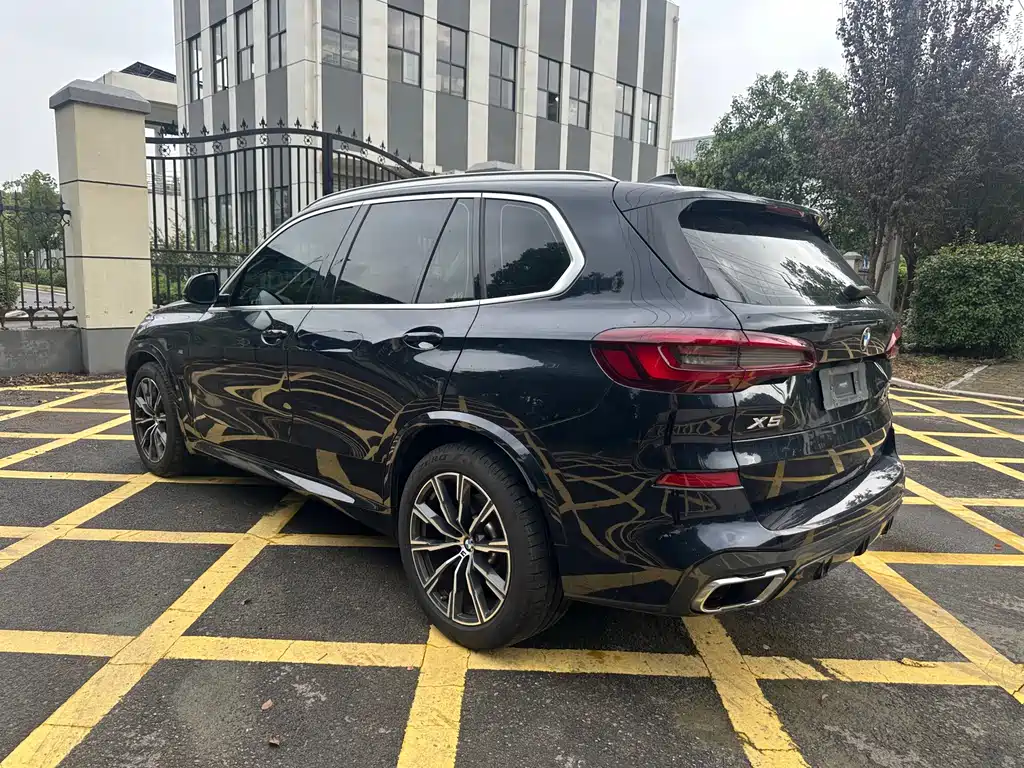 BMW X5 (Import) — миниатюра 5