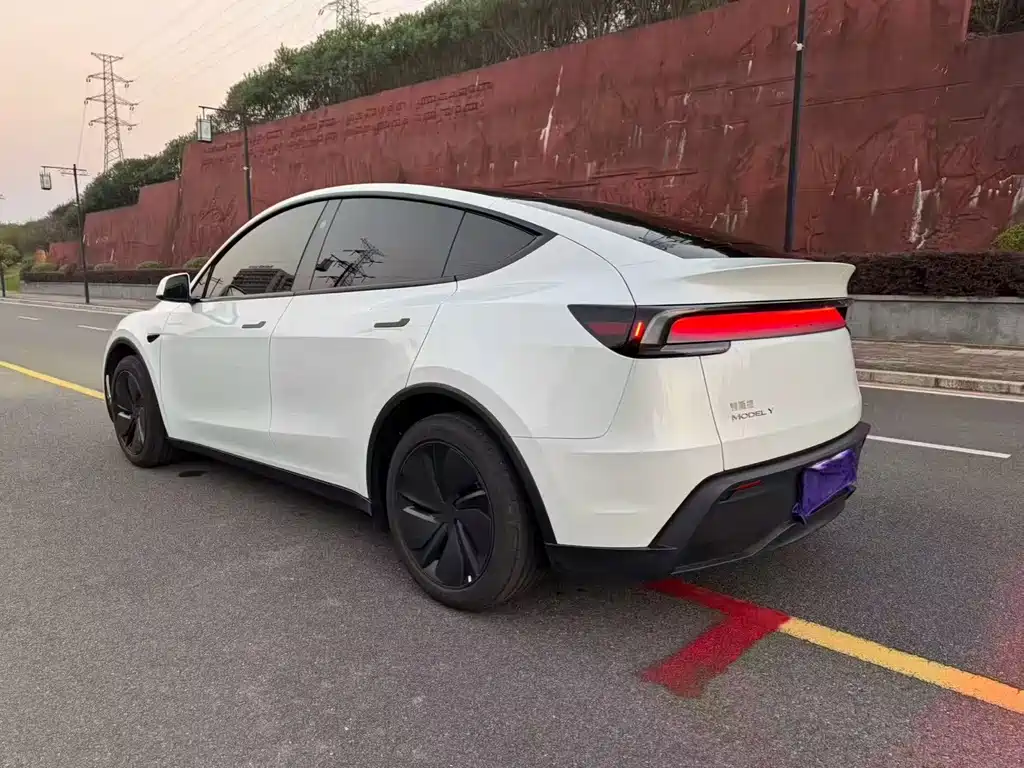 Tesla Model Y — миниатюра 4