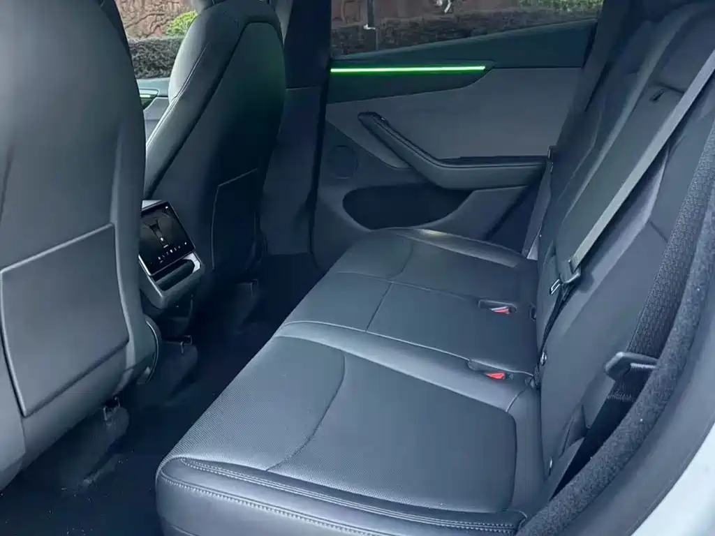 Tesla Model Y — миниатюра 8