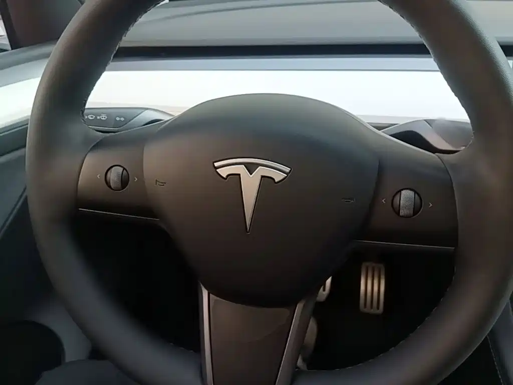 Tesla Model Y — миниатюра 11