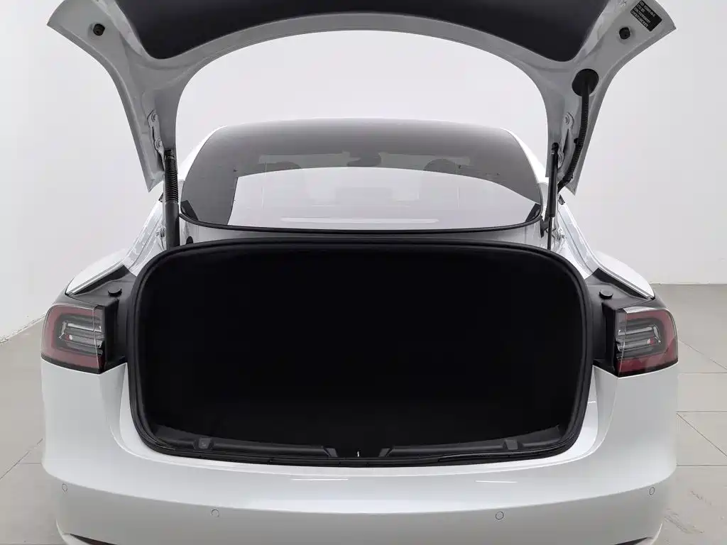 Tesla Model 3 — миниатюра 16