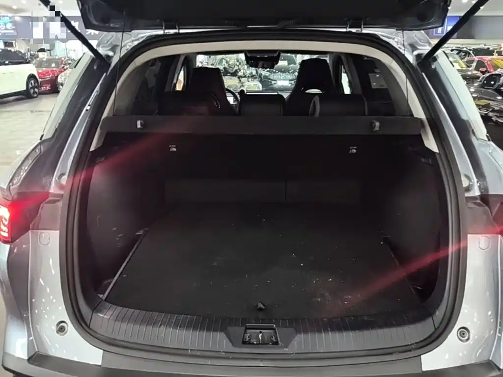 BYD Sealion 05 DM-i — миниатюра 19