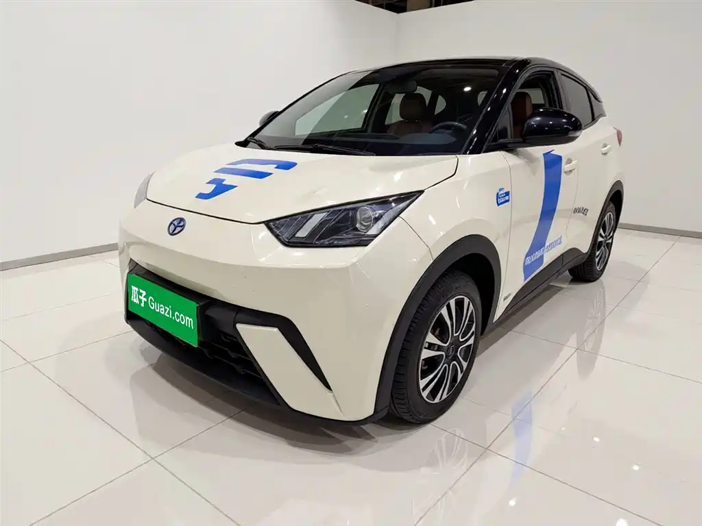 Byd Seagull 2024