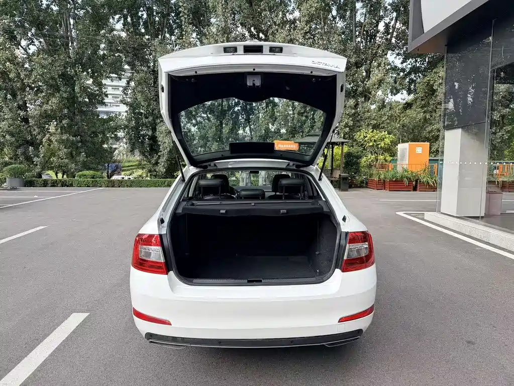 Skoda Octavia — миниатюра 11