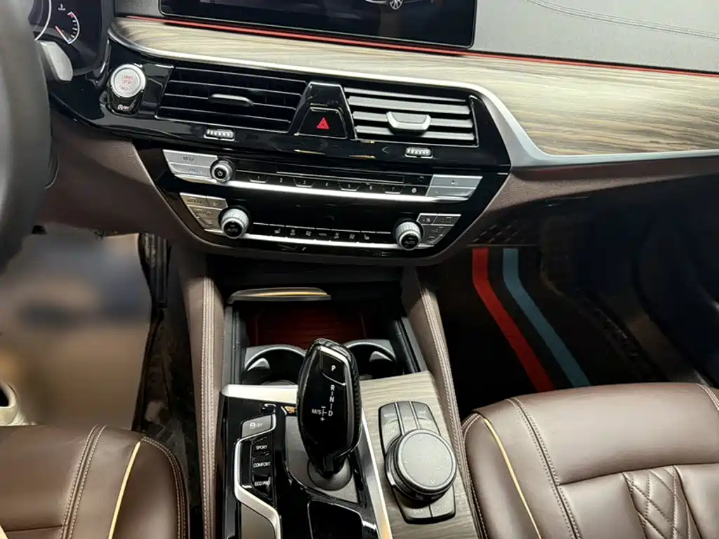 BMW 5 Series 5 2019 530Li Lead Luxury