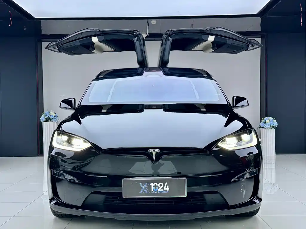 Tesla Model X — миниатюра 3