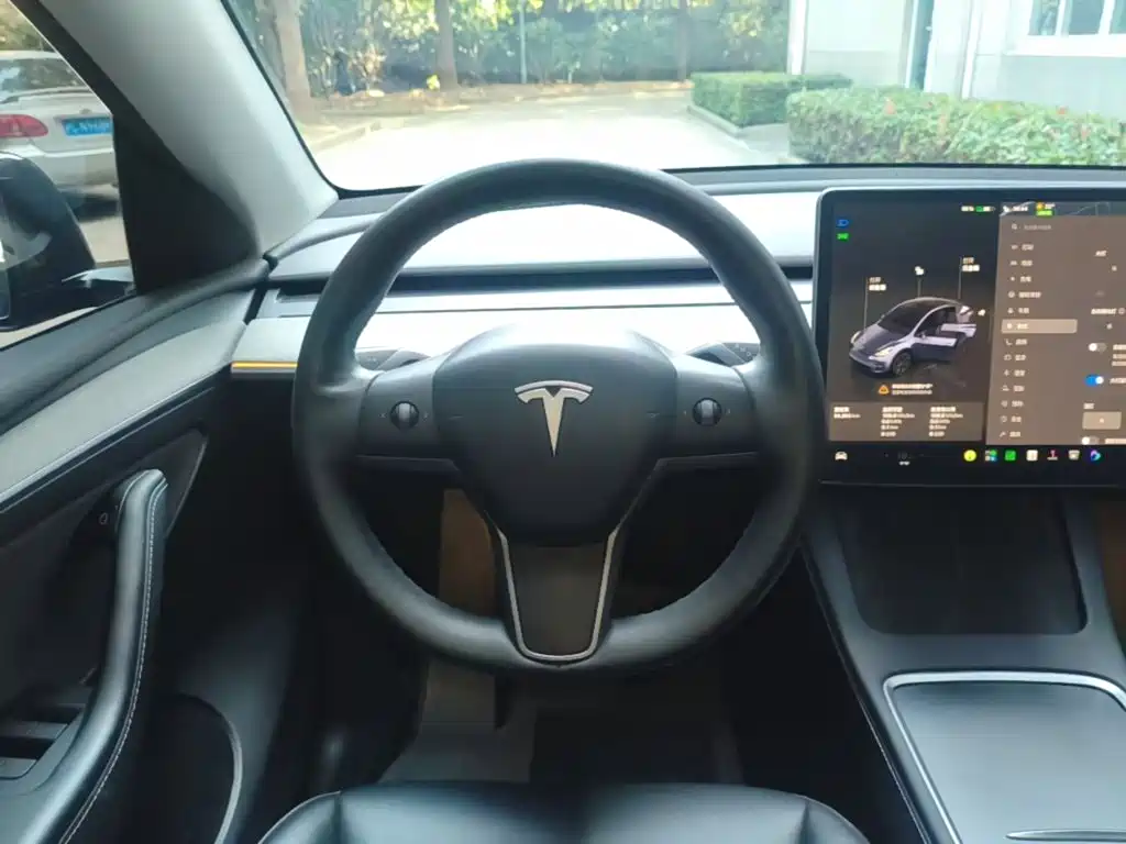 Tesla Model Y — миниатюра 11