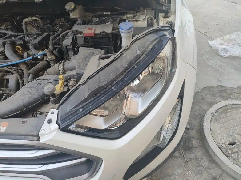 Ford Ecosport — миниатюра 21