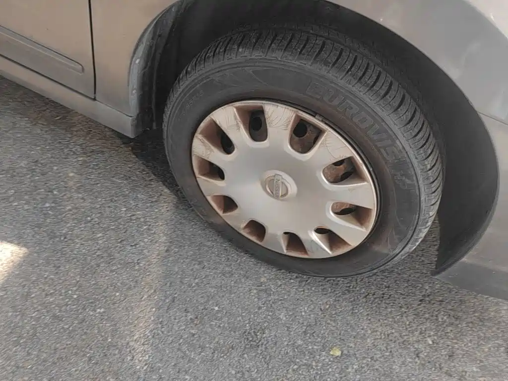 Nissan Sylphy — миниатюра 12