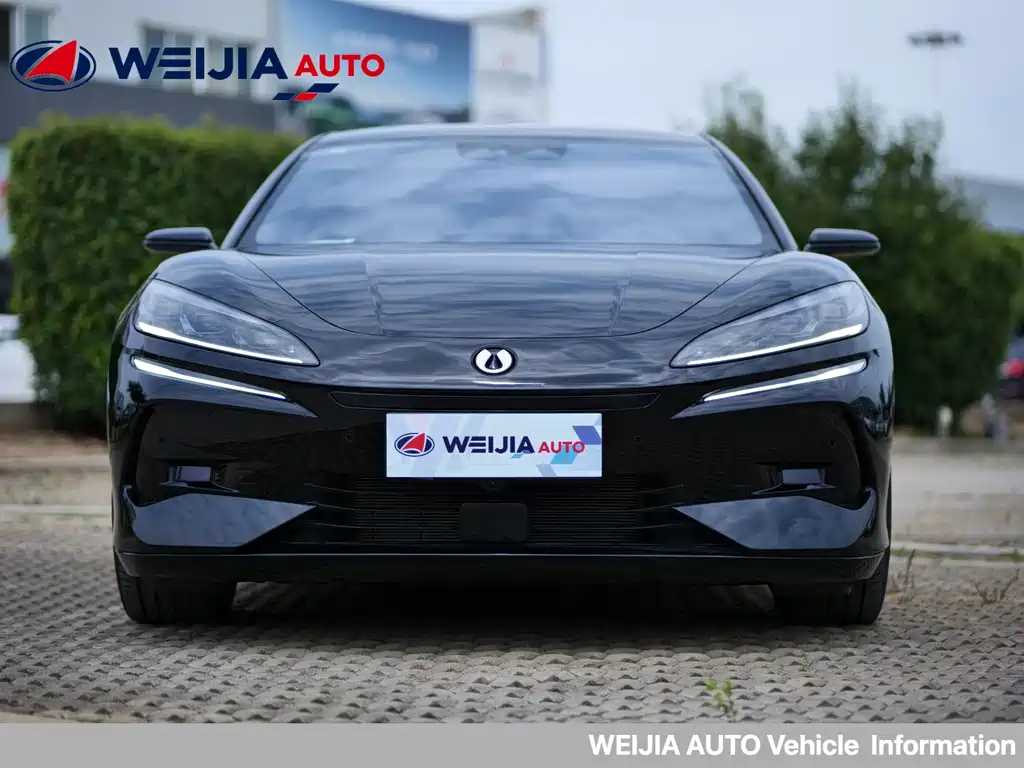 Denza Z9 2024 1100km Ultra