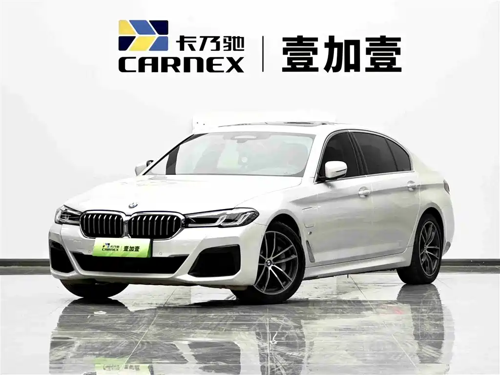 BMW 5 Series New Energy 2021