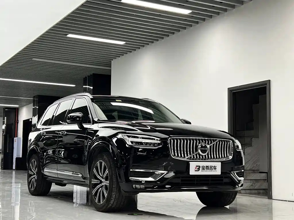 Volvo XC90 — миниатюра 3