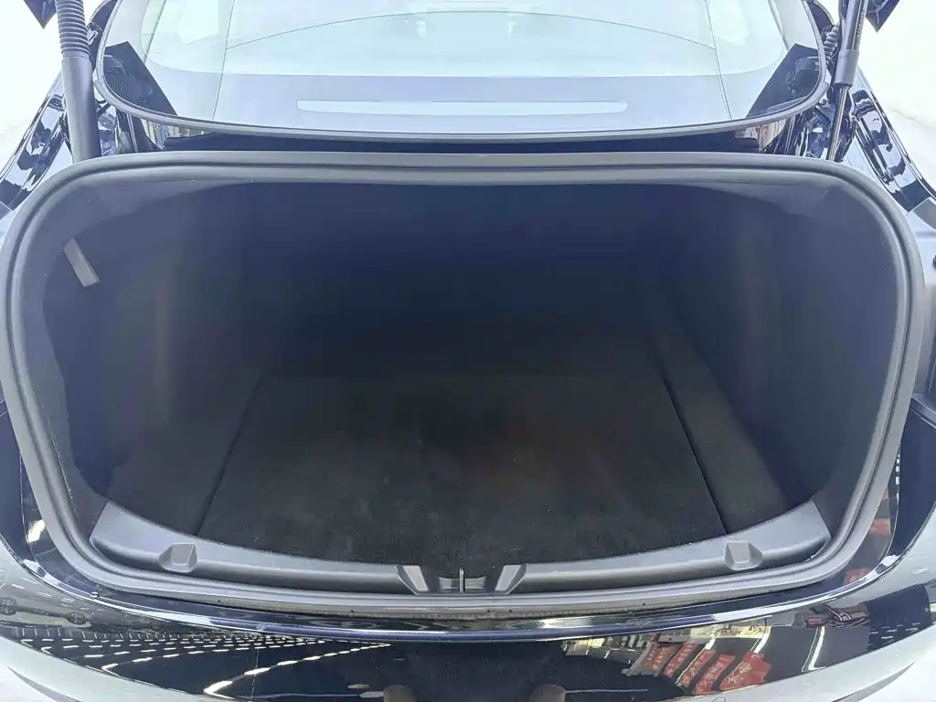 Tesla Model 3 — миниатюра 13