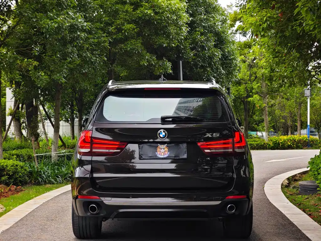BMW X5 (Import) — миниатюра 5