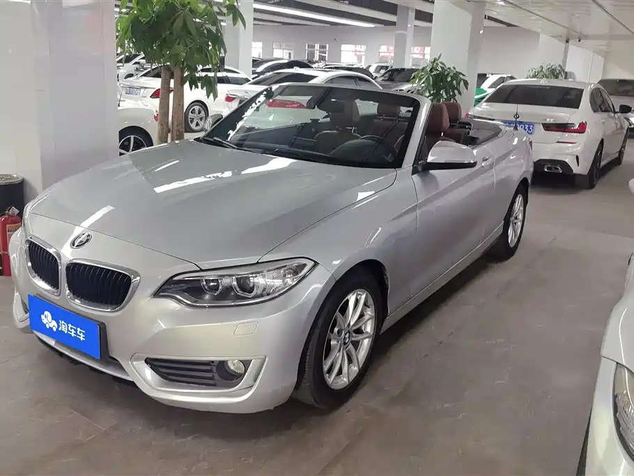 BMW 2 Series (Import) 2015