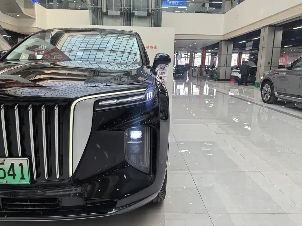 Hongqi E-HS9 2022 690km мест