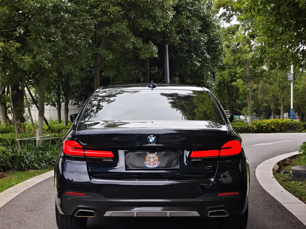 BMW 5 Series — миниатюра 5