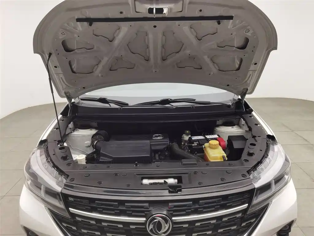 DONGFENG POPULAR T5L