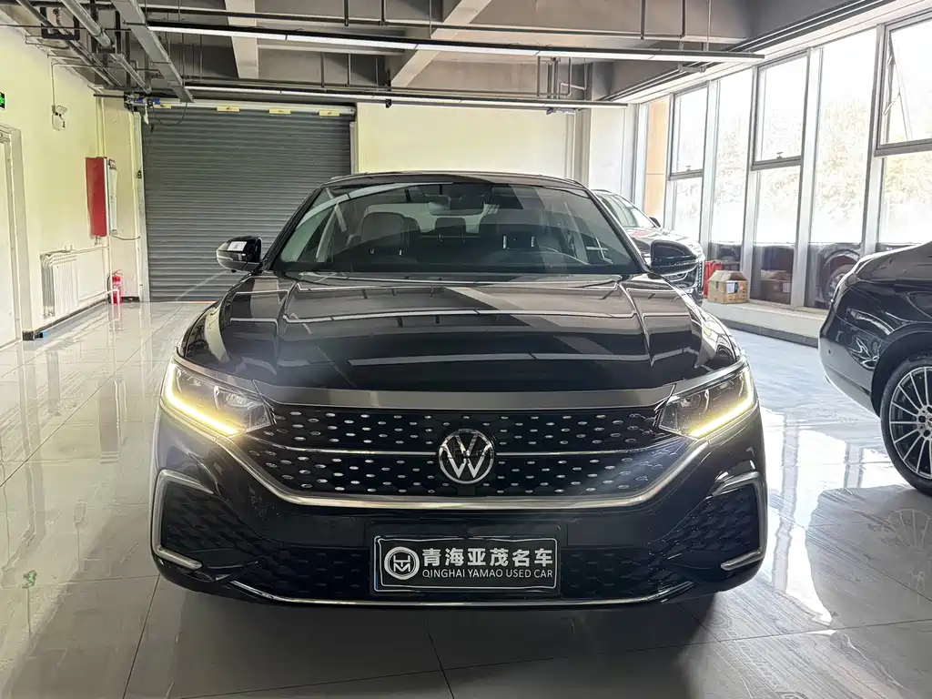 Volkswagen Passat — миниатюра 2