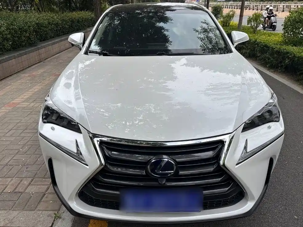 Lexus NX — миниатюра 8
