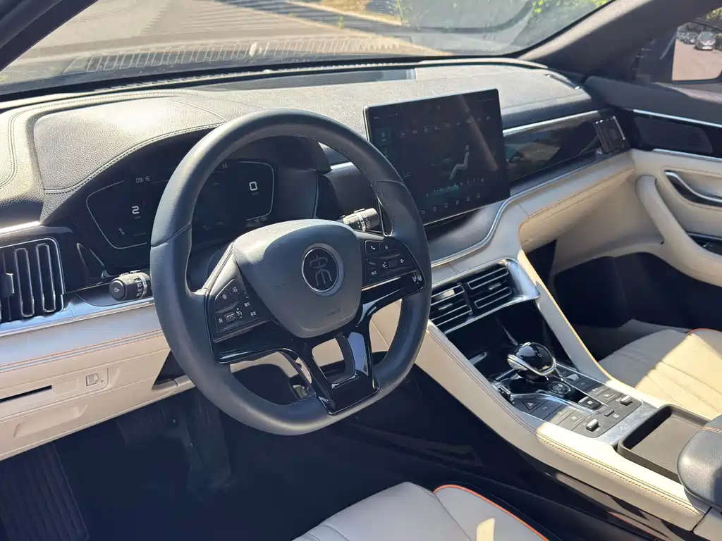 BYD PLUS New Energy — миниатюра 6