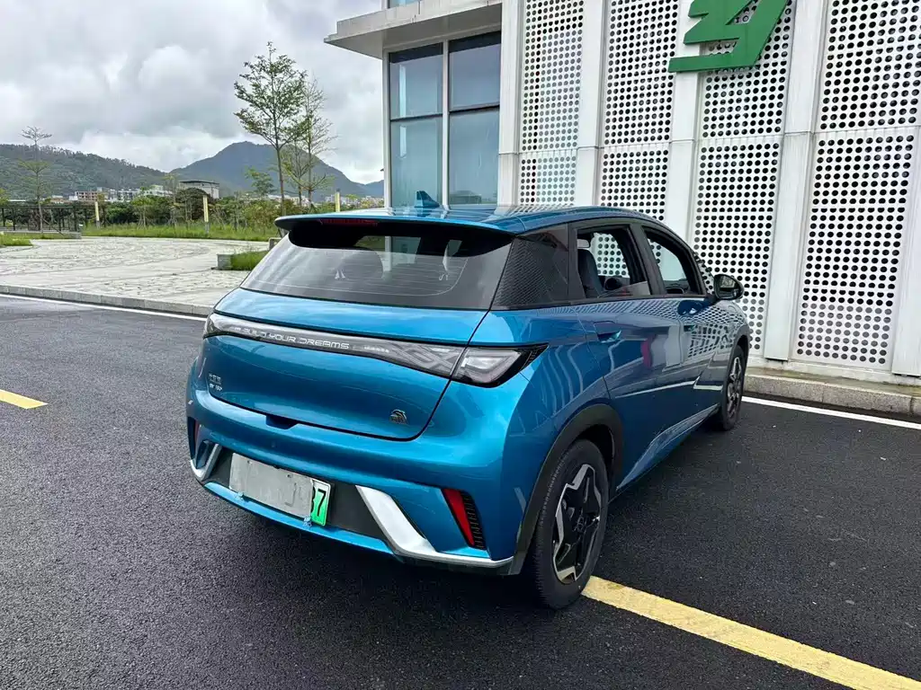 BYD Dolphin — миниатюра 28