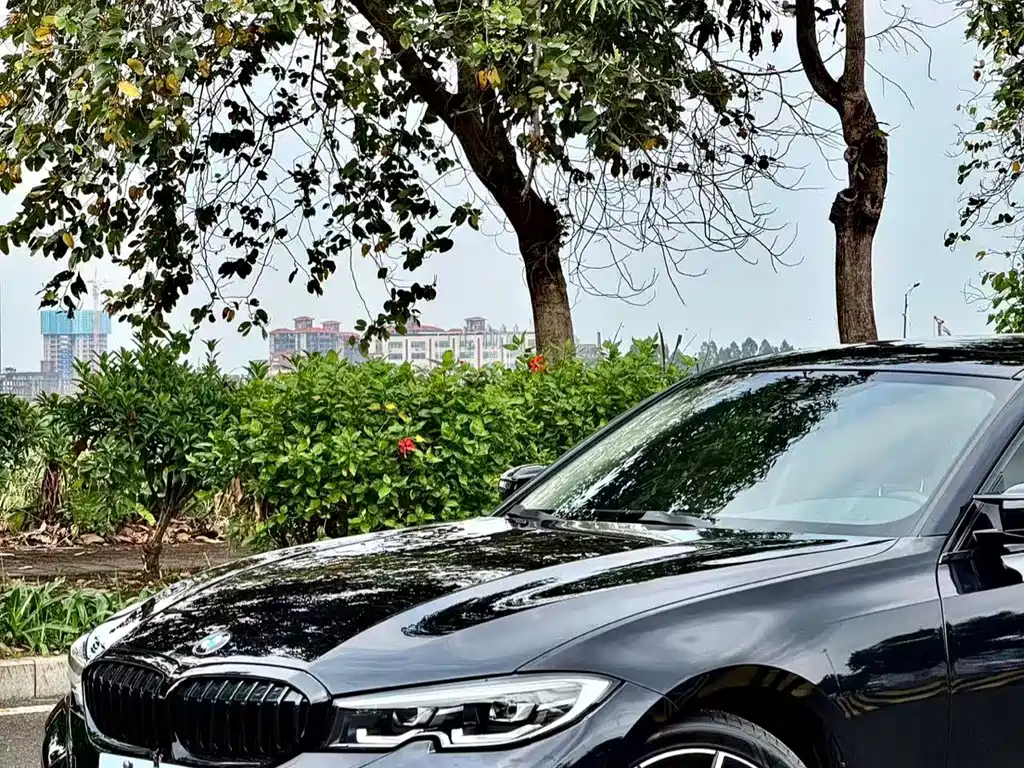 BMW 3 Series — миниатюра 15