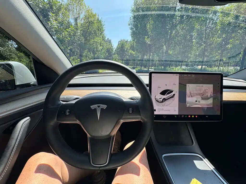 Tesla Model Y — миниатюра 5