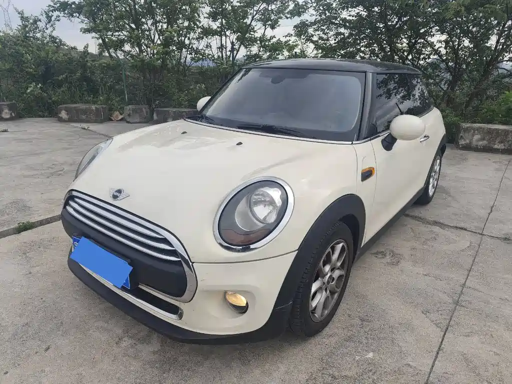 Mini Mini 2016