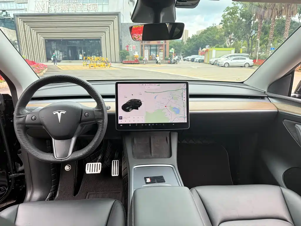 Tesla Model Y — миниатюра 6