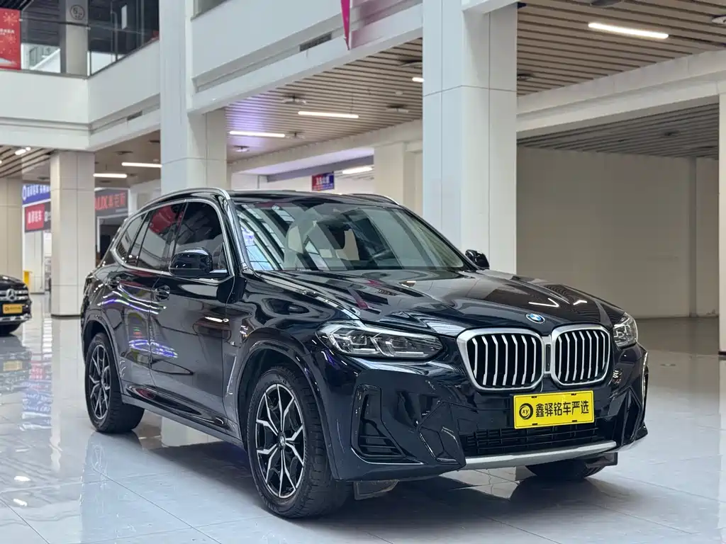 BMW X3 — миниатюра 3