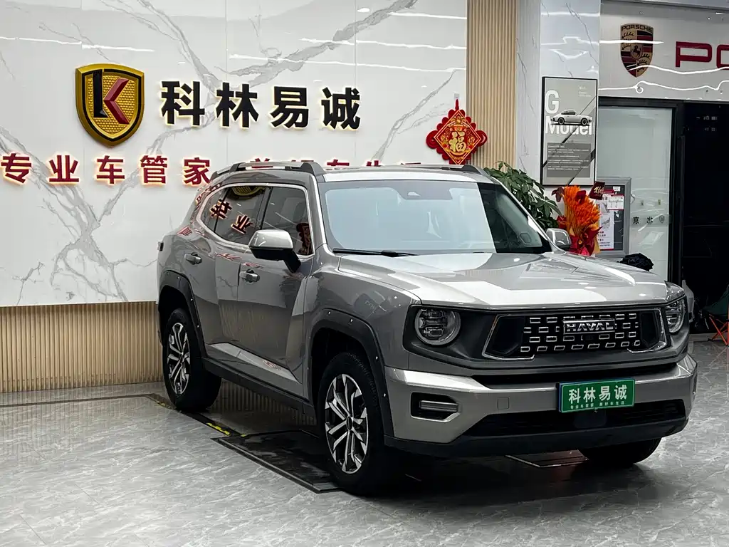 Haval Big Dog PLUS — миниатюра 3