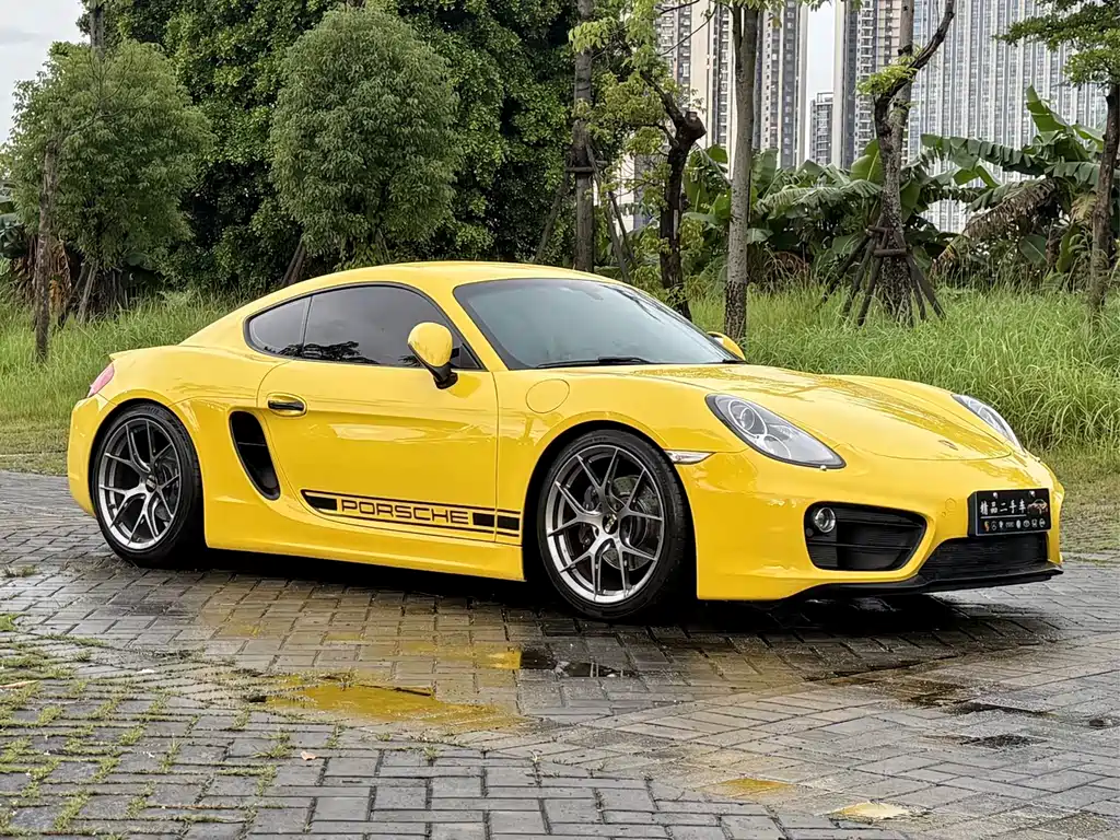 Porsche Cayman — миниатюра 3