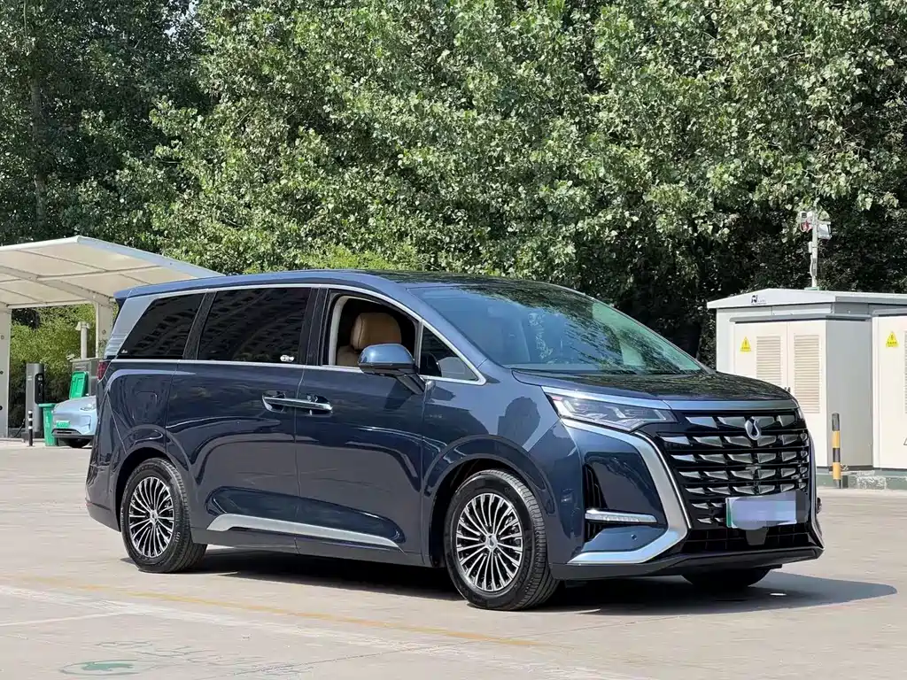 Denza Denza D9 — миниатюра 3