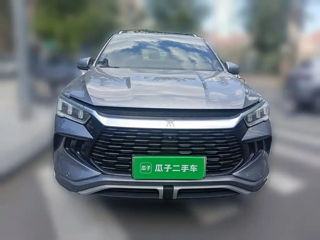 BYD Pro New Energy — миниатюра 2