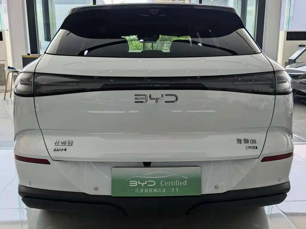 BYD Haisi 06 — миниатюра 8