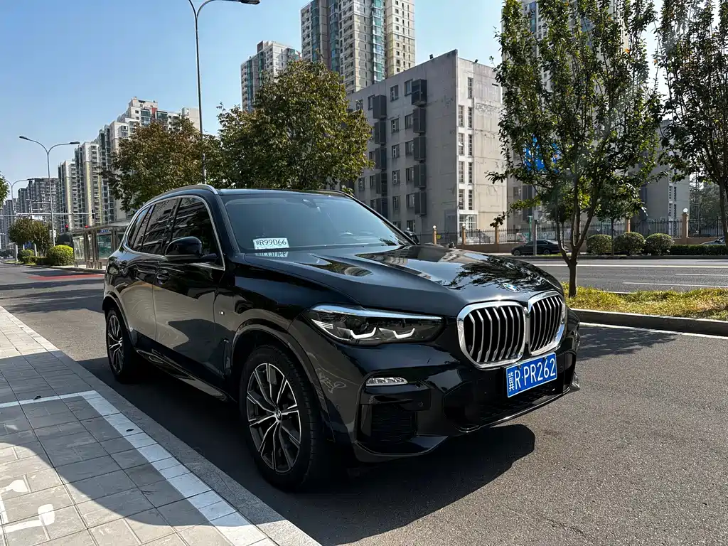 BMW X5 (Import) — миниатюра 3