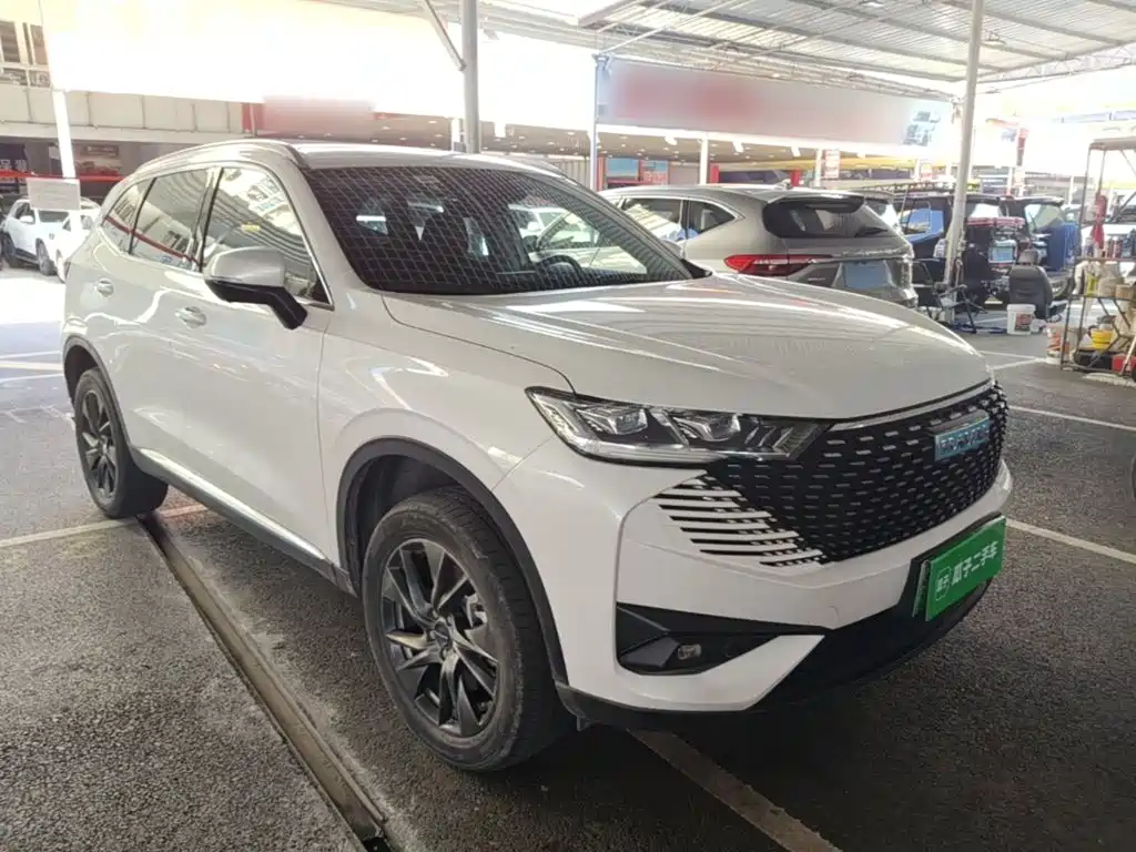 Haval H6 New Energy — миниатюра 22