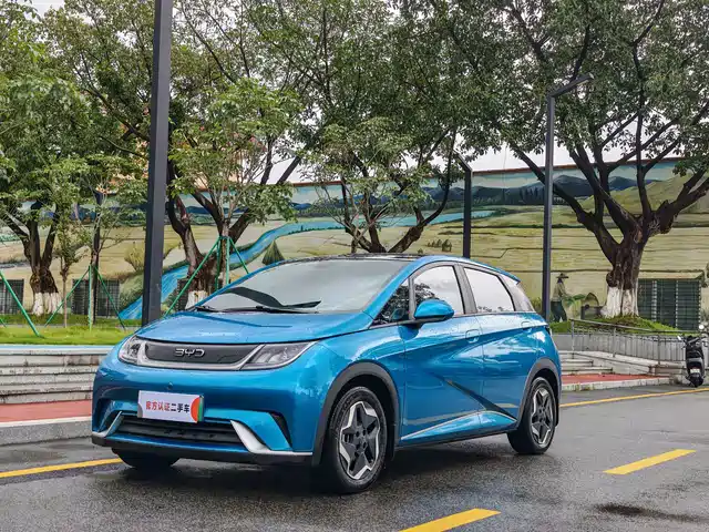 2022 BYD Dolphin