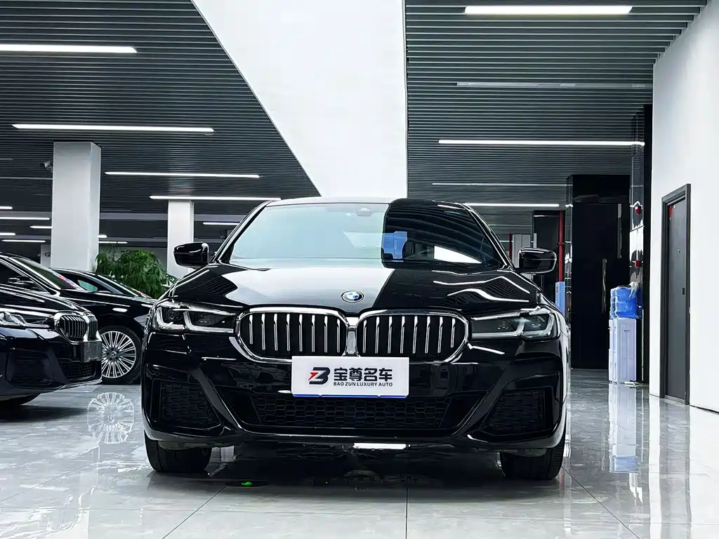 BMW 5 Series — миниатюра 2