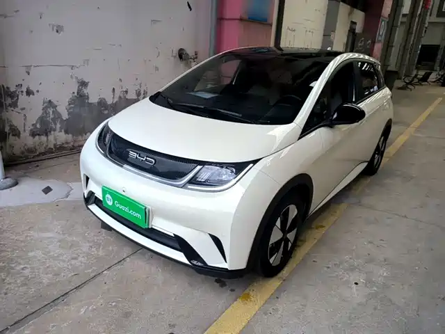 2024 BYD Dolphin