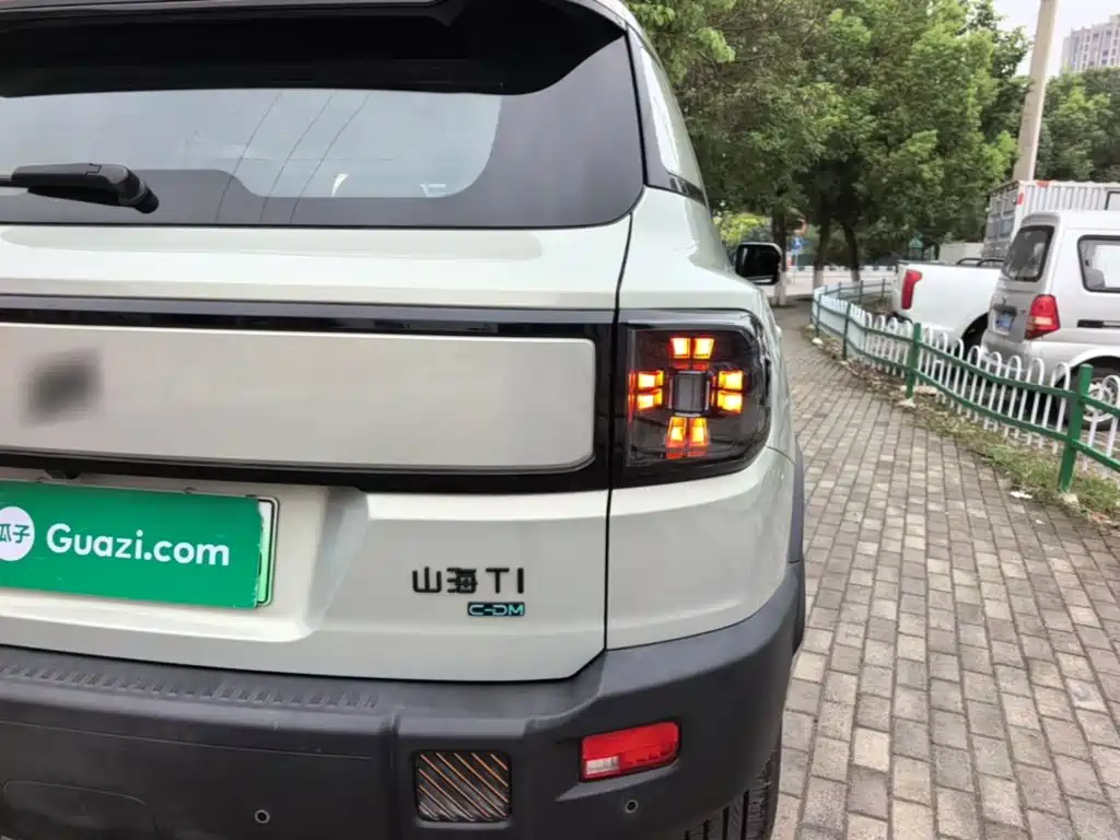 Shanhai Shanhai T1 — миниатюра 8