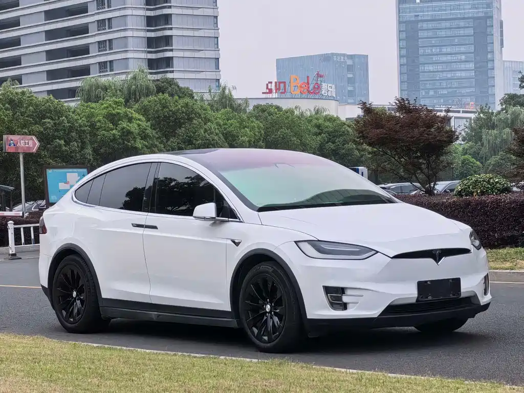 Tesla Model X 2017 Model X 100D